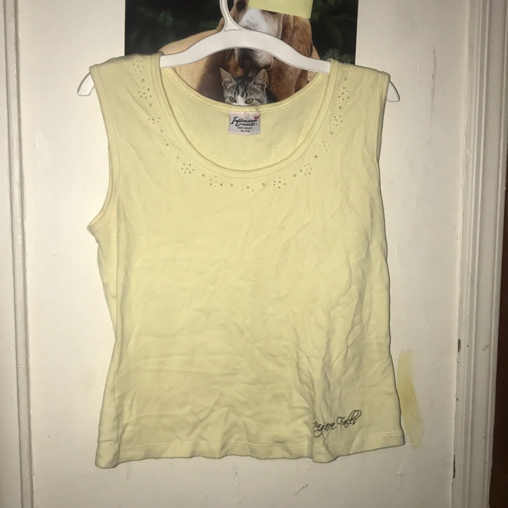 Sleeveless crispy top from Niagara Falls.